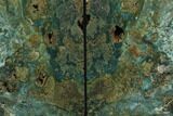 Green Jasper Replaced Petrified Wood Bookends - Oregon #162874-1